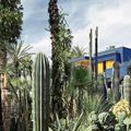 Une échappée à Marrakech, ici les jardins Majorelle, permet de repenser à tout ce qui agite le monde.