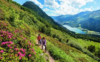 Wandern in Davos