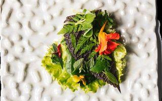 Salade de la Pinte des Mossettes: fleur de sauge sclarée, fleur de capucine et huile de sauge sclarée.