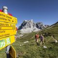 Wanderschild