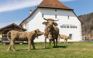 Maison de la Tête de moine