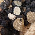 Les gourmets et amateurs de truffe auront l'occasion d'acheter le produit brut.  