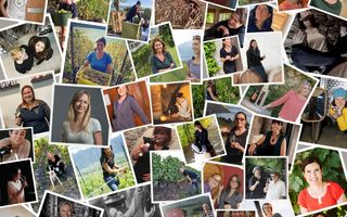 Une mosaïque de vigneronnes suisses