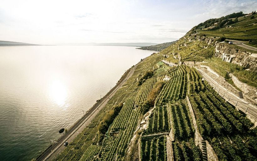 les vignes de Lavaux
