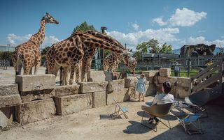 Kinderzoo Rapperswil