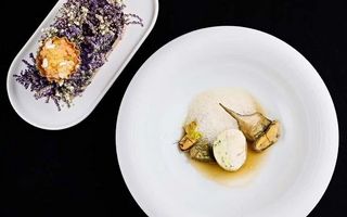 Deux plats d'un jeune chef