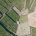 vue aérienne vignoble Lavaux