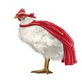 un poulet avec une cape rouge suisse