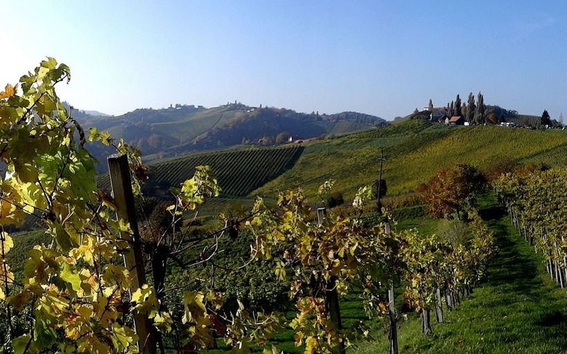 Österreich ist das Land der Regionalkulinarik. 