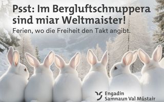 Winterkampagne Bergluft 