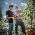 Deux vignerons grisons