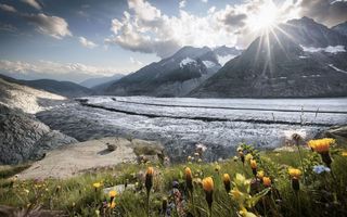 Platta in der Märjela
