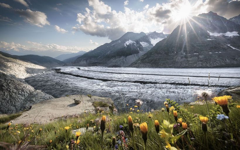 Platta in der Märjela