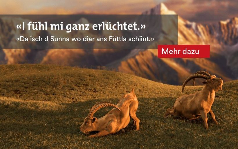 Kampagne Gian und Giachen