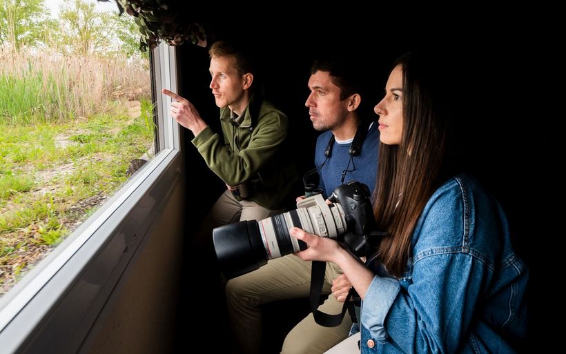 Hinter der Scheibe bleiben die Beobachtenden für die Tiere unsichtbar: Hoteleigener Foto-Hide.