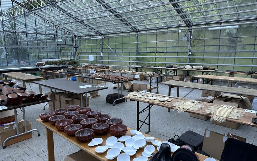 Nachhaltiges Geschirr